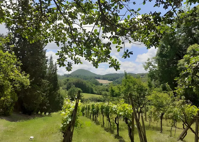 La Fonte Di * Trequanda