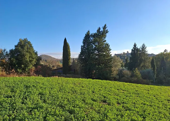 La Fonte Di *